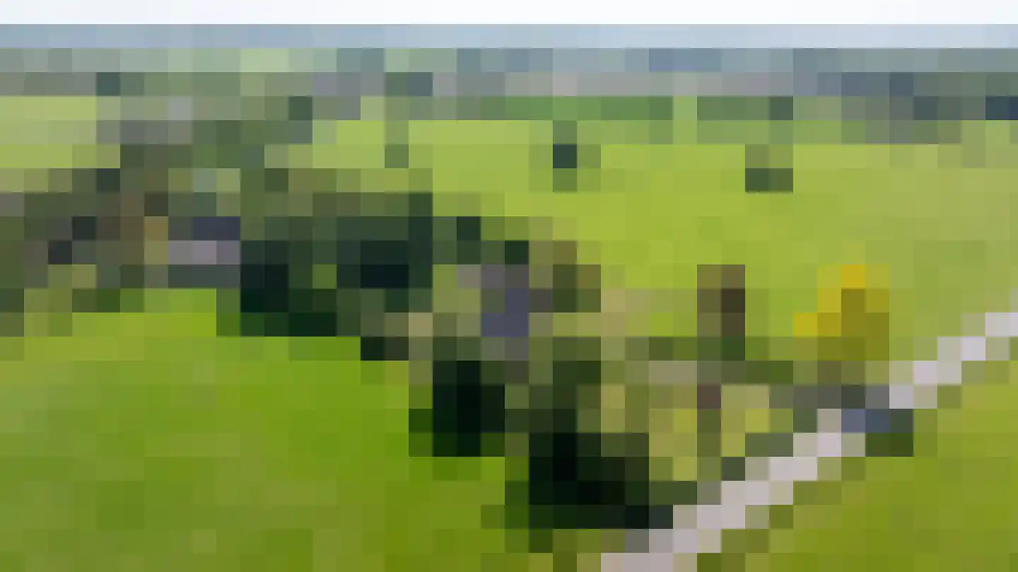 Berkelaarlaan 12 Doetinchem thumbnail 86