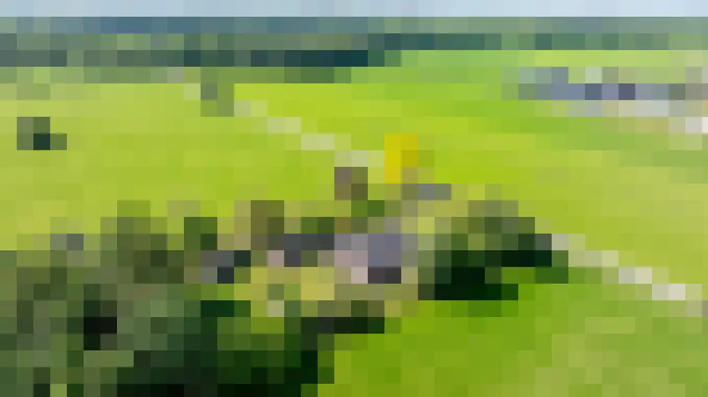 Berkelaarlaan 12 Doetinchem thumbnail 87