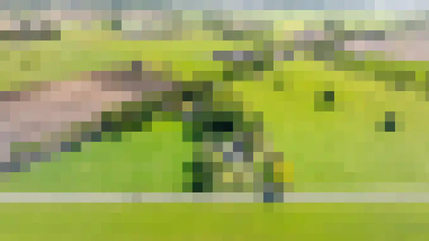 Berkelaarlaan 12 Doetinchem thumbnail 89