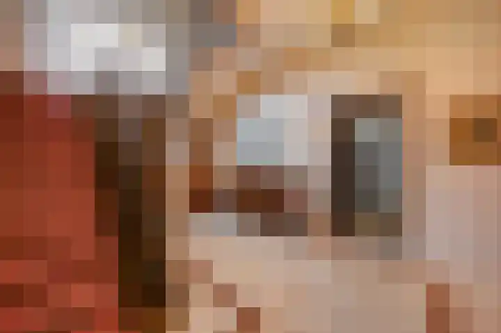 Berkelaarsweg 27 Echt thumbnail 11
