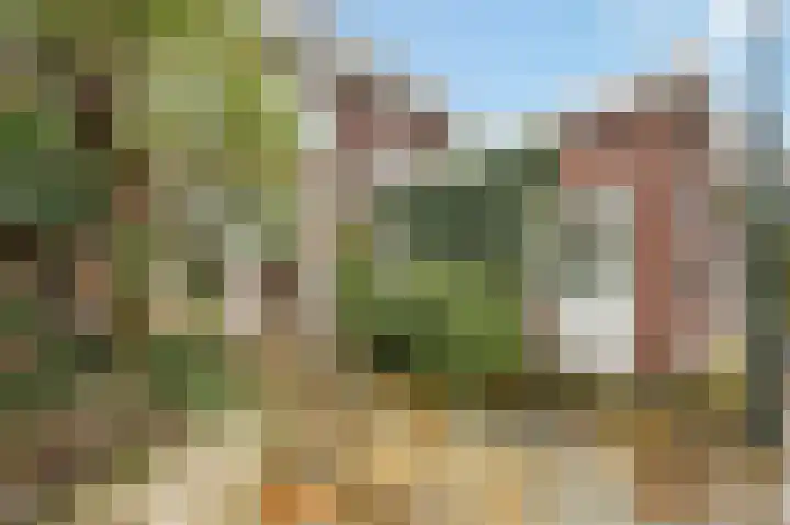 Berkelaarsweg 27 Echt thumbnail 23