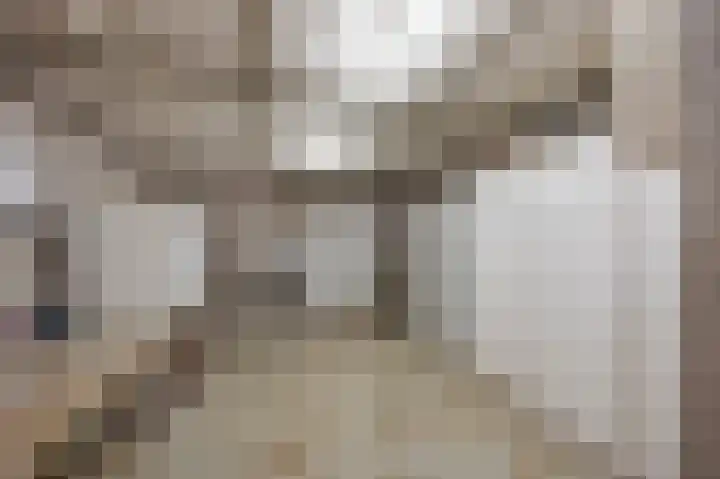 Berkelaarsweg 27 Echt thumbnail 31