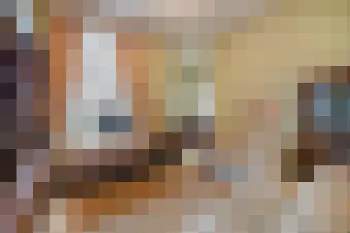 Berkelaarsweg 27 Echt thumbnail 32