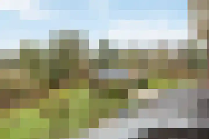 Berkelaarsweg 27 Echt thumbnail 4