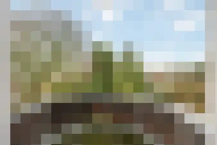 Berkelaarsweg 27 Echt thumbnail 48