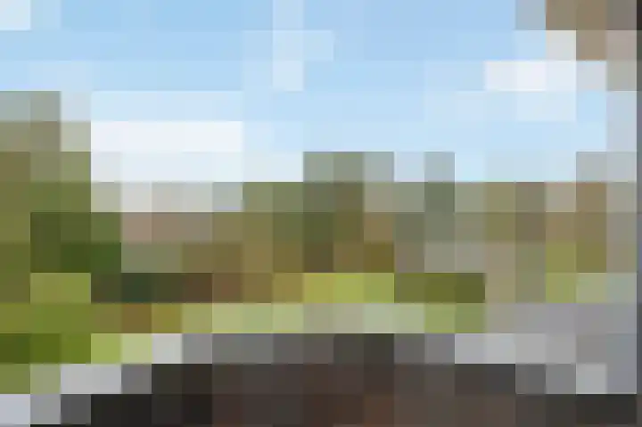 Berkelaarsweg 27 Echt thumbnail 49