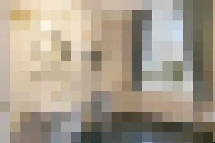 Berkelaarsweg 27 Echt thumbnail 52