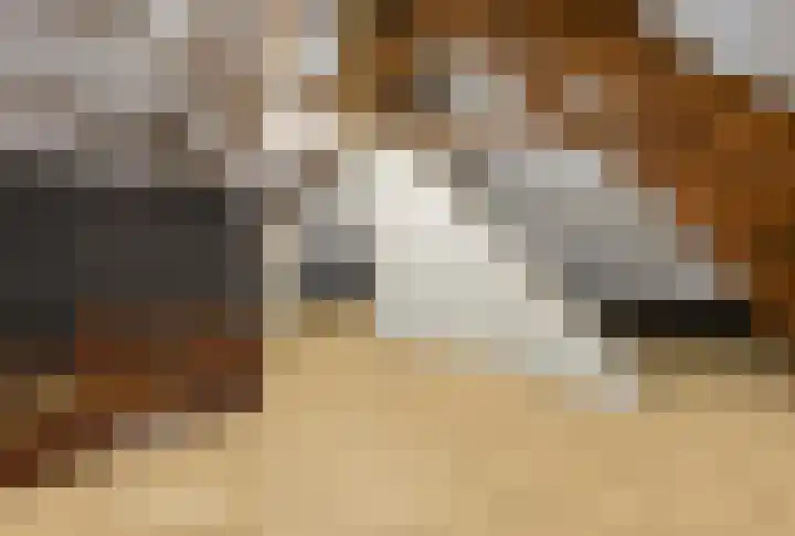 Berkelaarsweg 27 Echt thumbnail 57