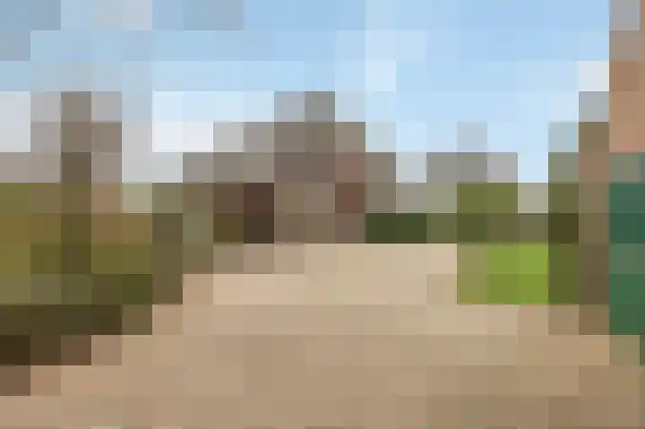 Berkelaarsweg 27 Echt thumbnail 59