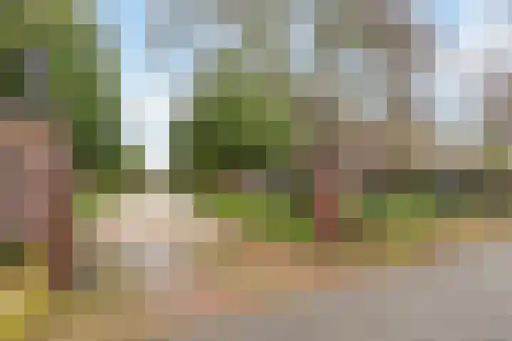 Berkelaarsweg 27 Echt thumbnail 6