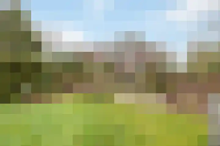 Berkelaarsweg 27 Echt thumbnail 60