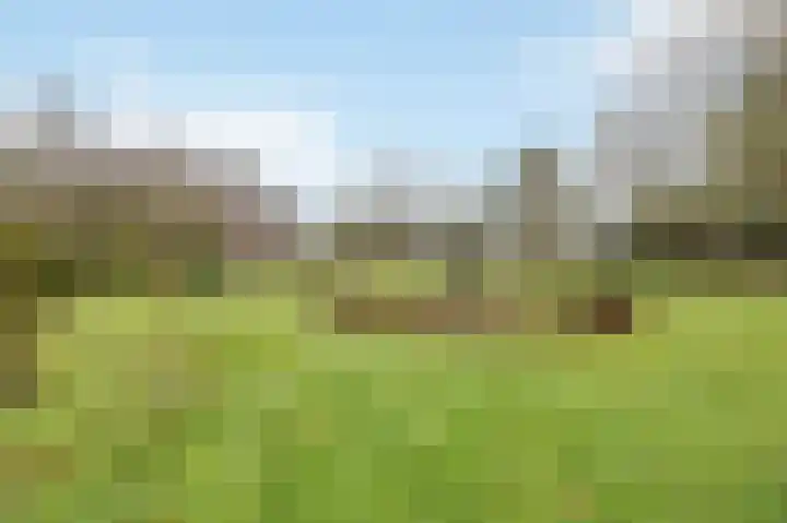 Berkelaarsweg 27 Echt thumbnail 61