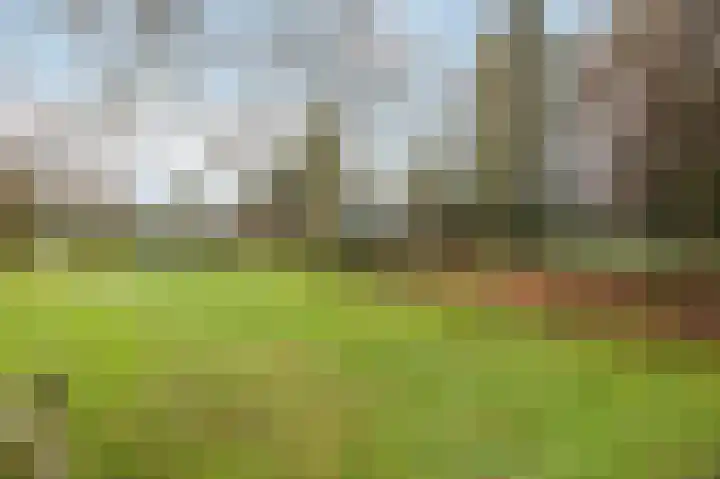 Berkelaarsweg 27 Echt thumbnail 63