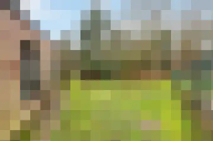 Berkelaarsweg 27 Echt thumbnail 64