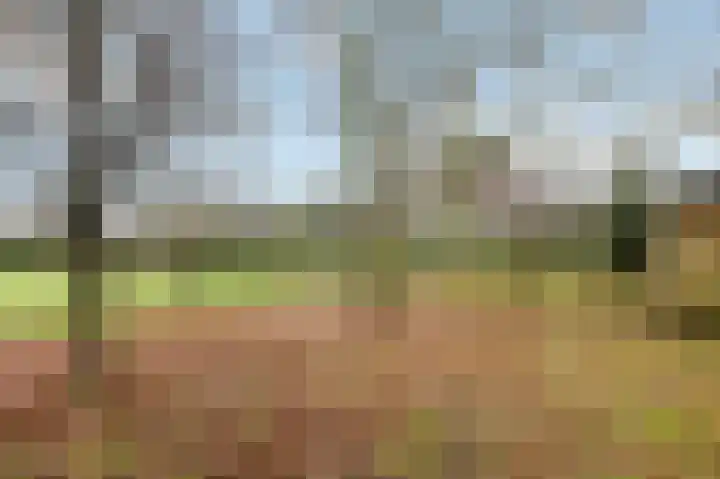 Berkelaarsweg 27 Echt thumbnail 65