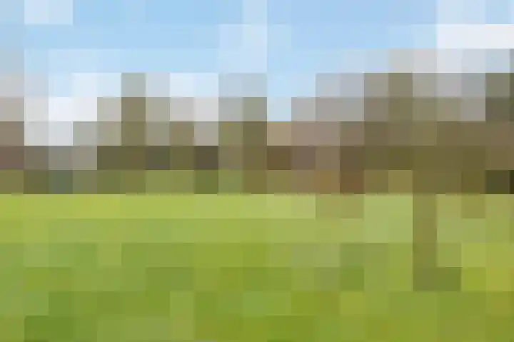 Berkelaarsweg 27 Echt thumbnail 66