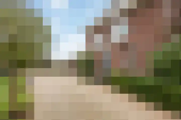 Berkelaarsweg 27 Echt thumbnail 8