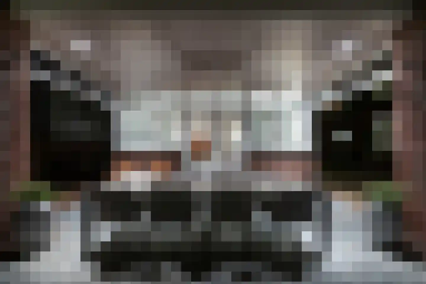 Berkelaarsweg 29 Echt thumbnail 43