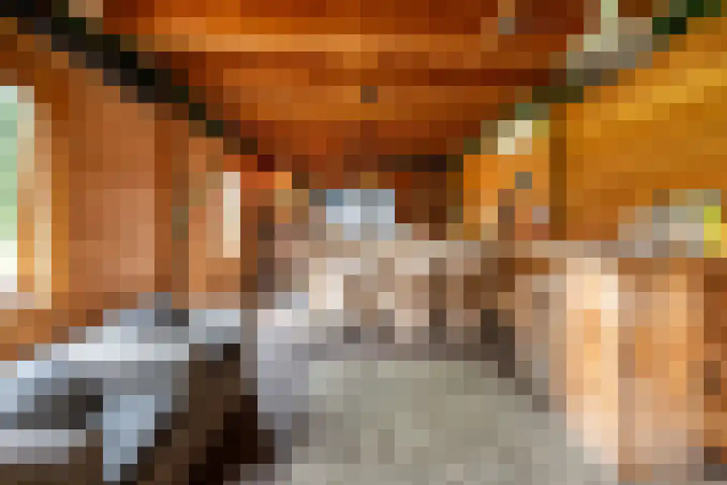 Berkelaarsweg 29 Echt thumbnail 48