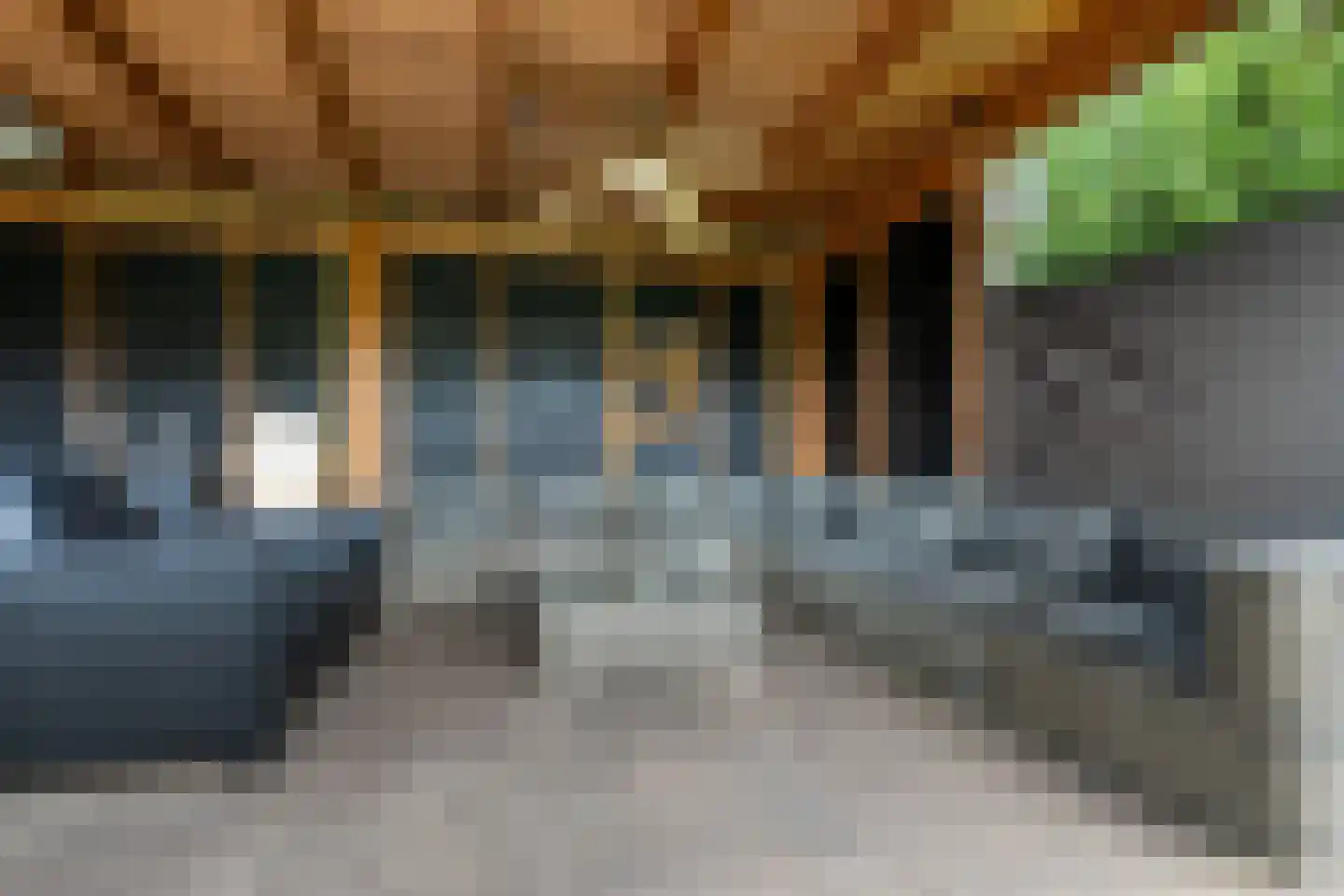 Berkelaarsweg 29 Echt thumbnail 49