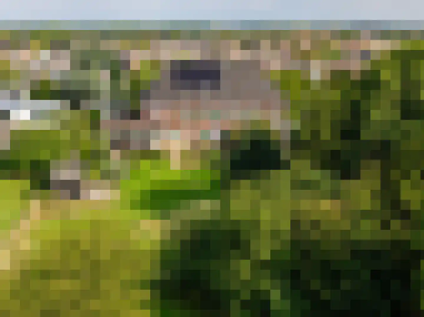 Berkelaarsweg 29 Echt thumbnail 60