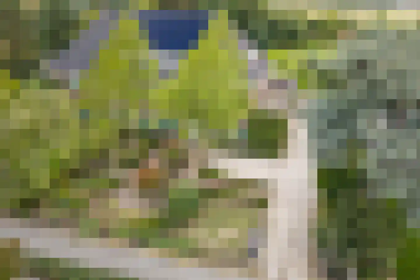 Berkelaarsweg 29 Echt thumbnail 70