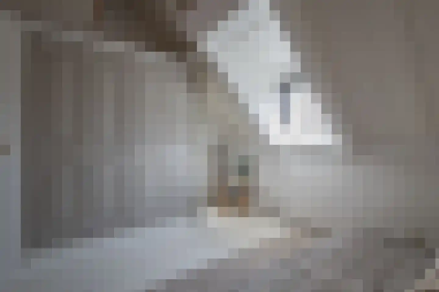 Berkelaarsweg 8 Echt thumbnail 17