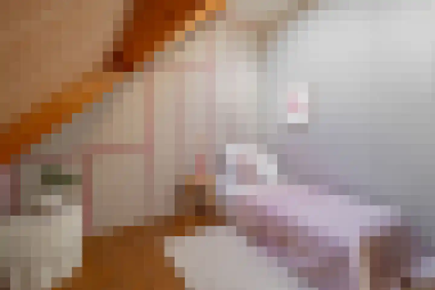 Berkelaarsweg 8 Echt thumbnail 18