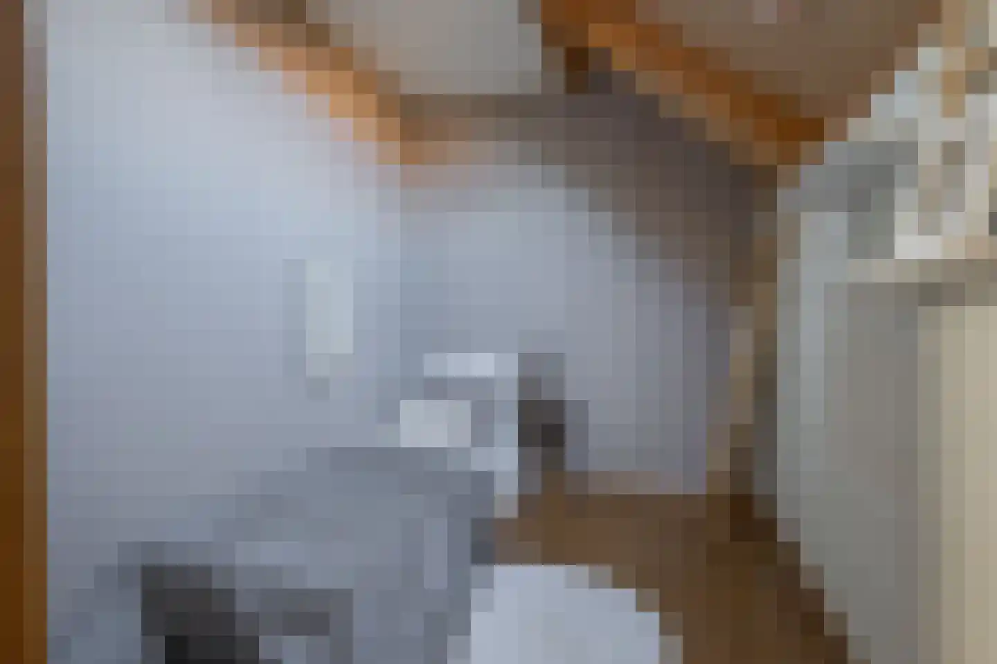 Berkelaarsweg 8 Echt thumbnail 19