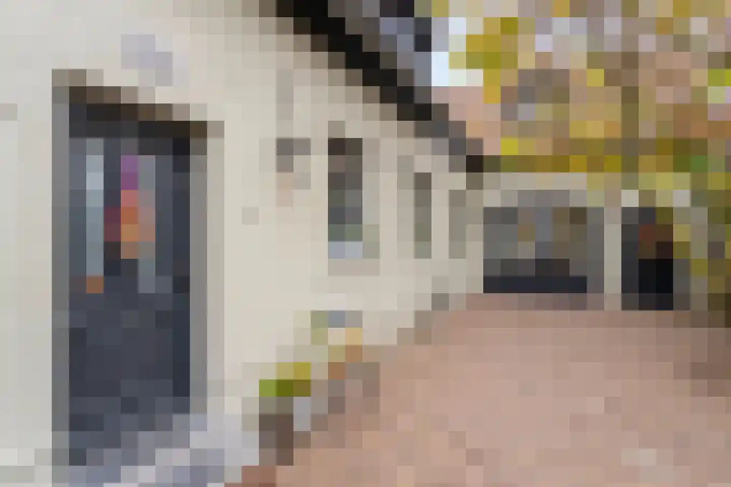 Berkelaarsweg 8 Echt foto 2