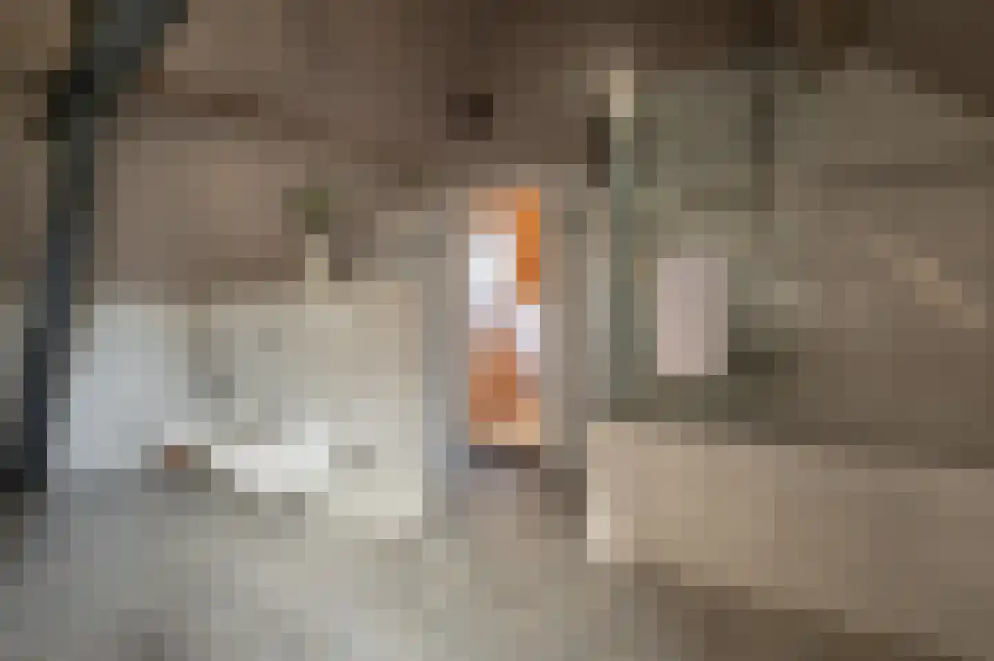 Berkelaarsweg 8 Echt thumbnail 20