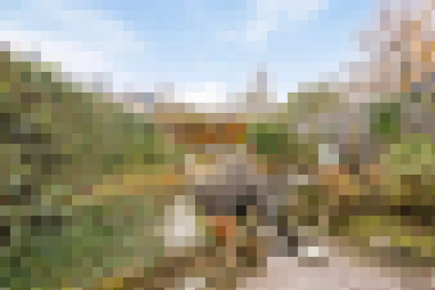 Berkelaarsweg 8 Echt thumbnail 28