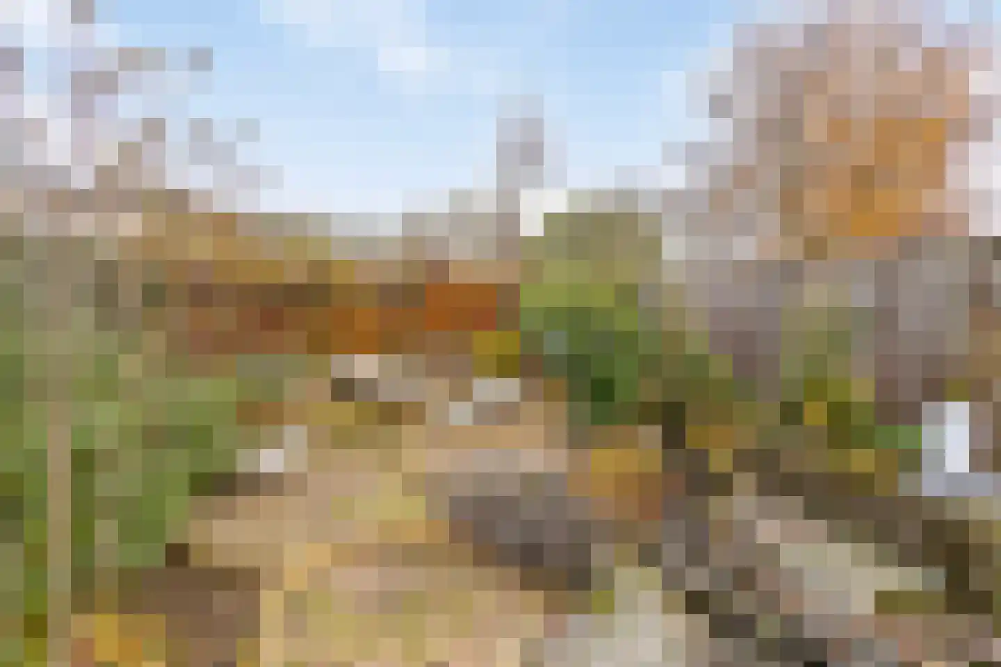 Berkelaarsweg 8 Echt thumbnail 29