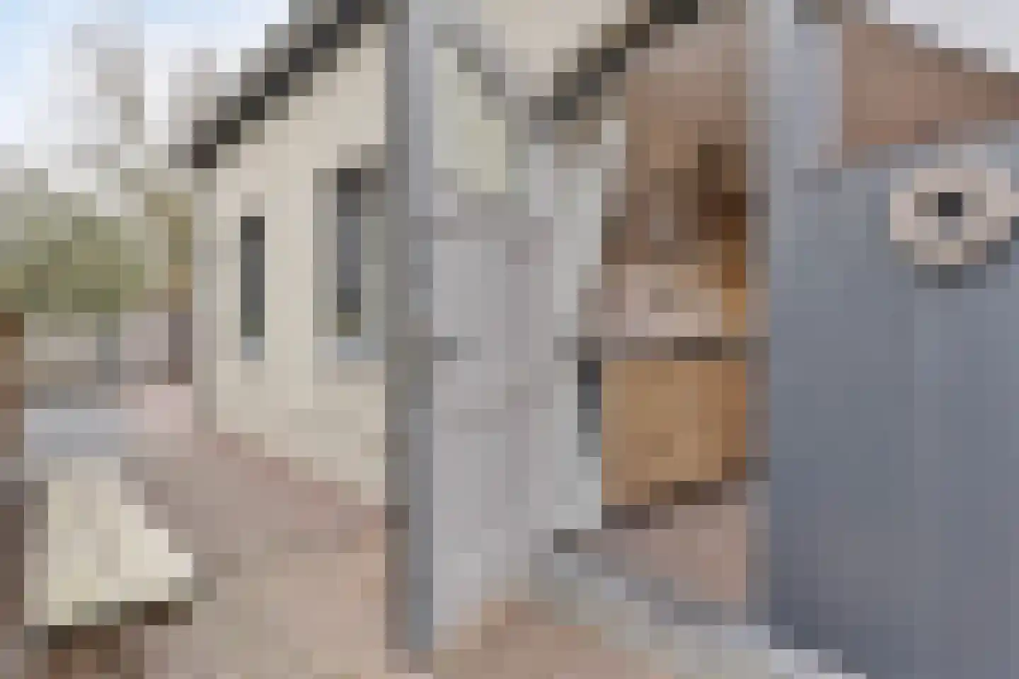 Berkelaarsweg 8 Echt thumbnail 31