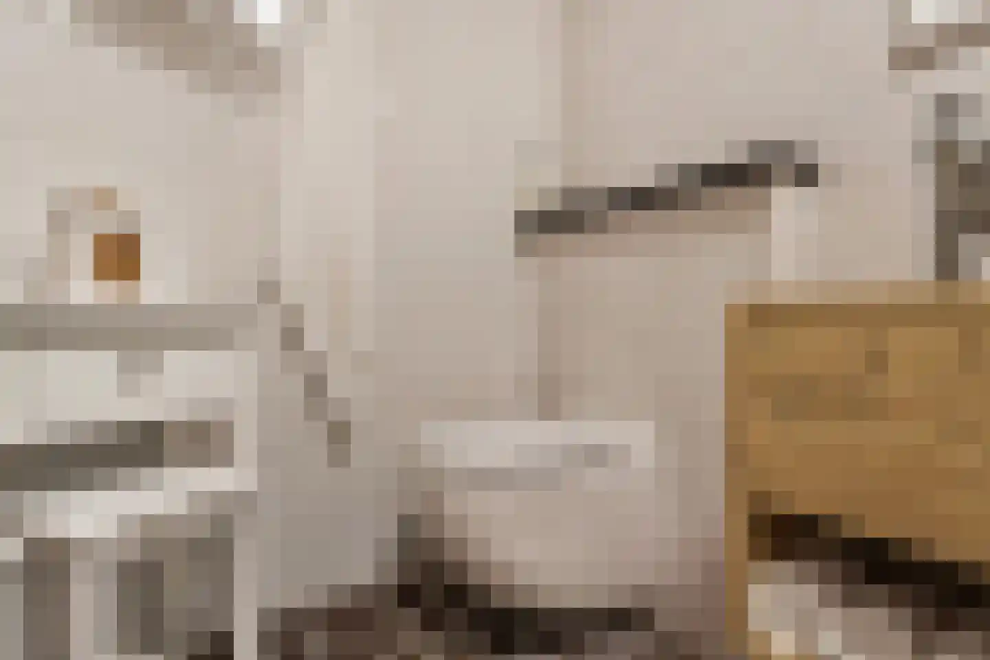 Berkelaarsweg 8 Echt thumbnail 45