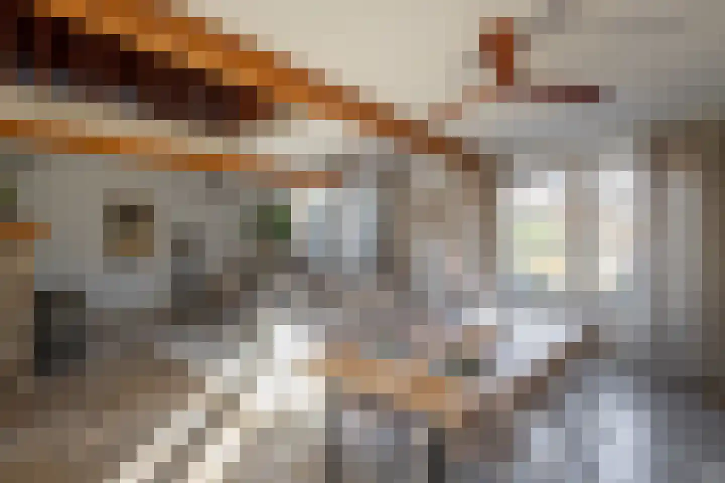 Berkelaarsweg 8 Echt thumbnail 6