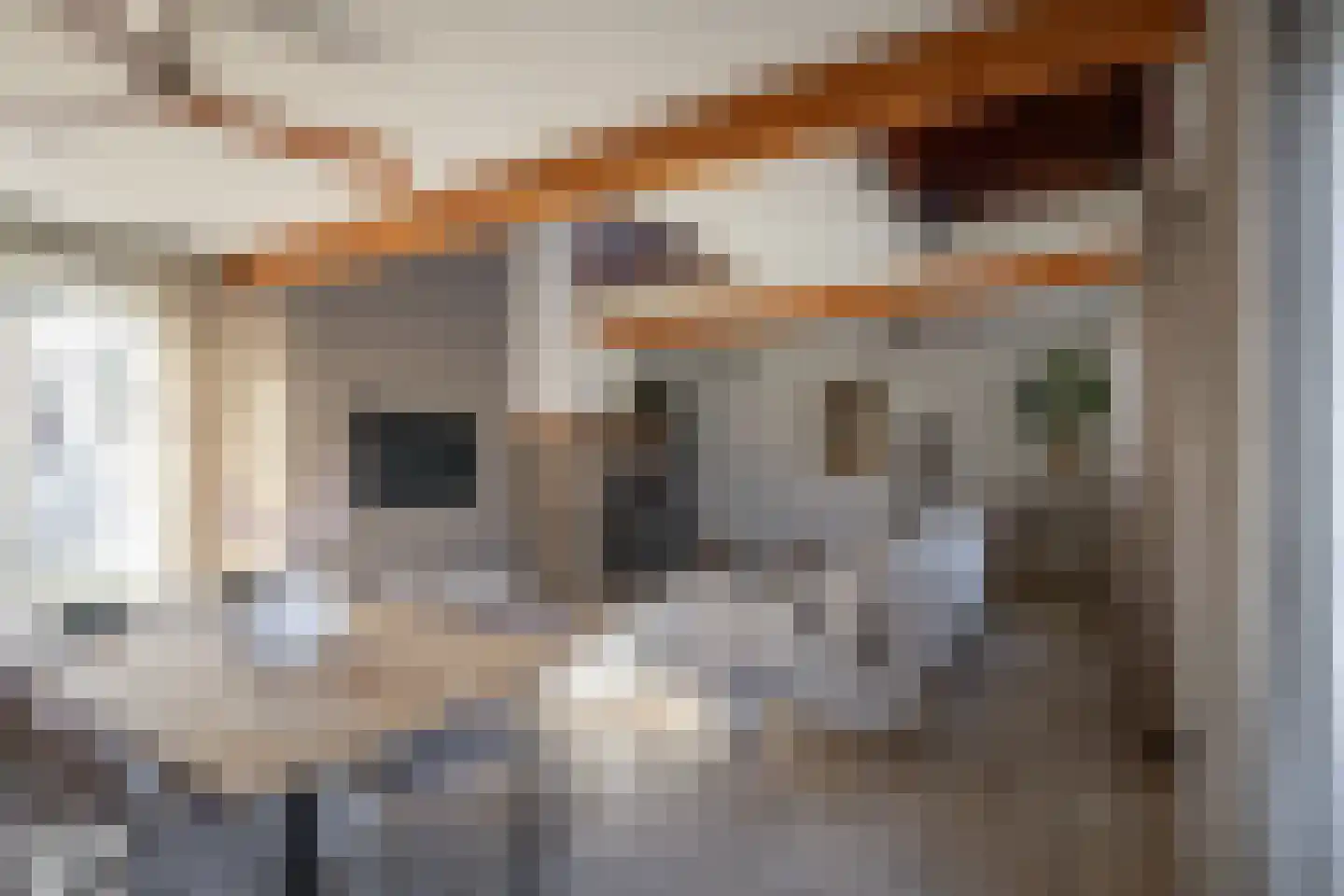 Berkelaarsweg 8 Echt thumbnail 7