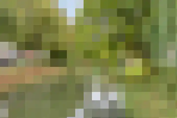 Berkelkade 7 m Zutphen thumbnail 17