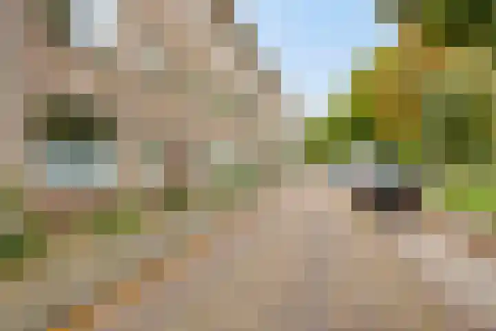 Berkelkade 7 m Zutphen thumbnail 19