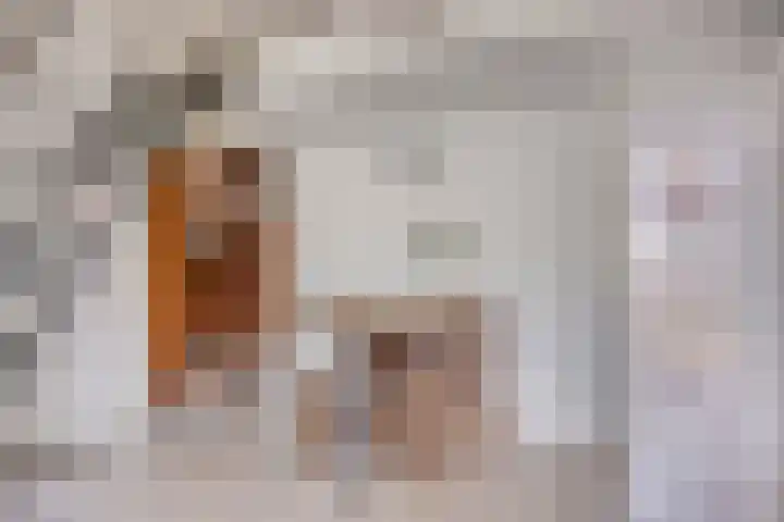 Berkelkade 7 o Zutphen thumbnail 11