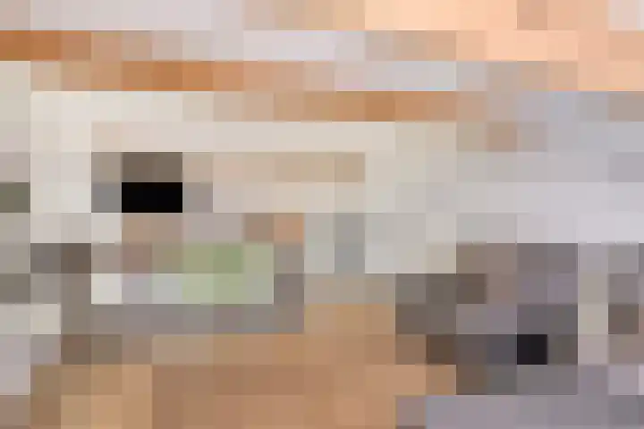 Berkelkade 7 o Zutphen thumbnail 14
