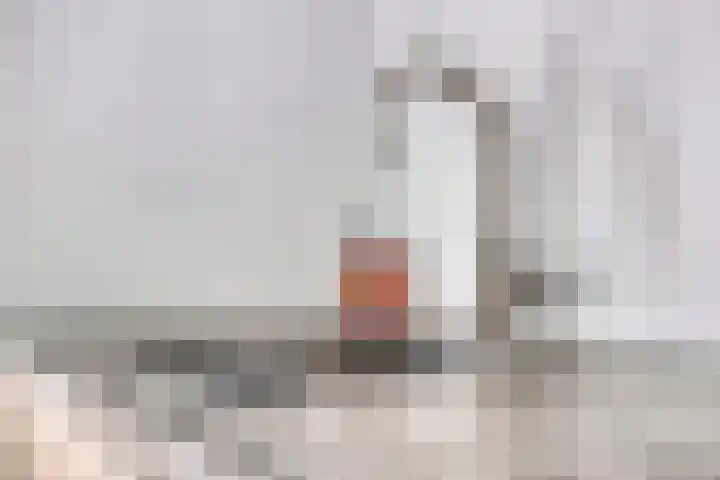 Berkelkade 7 o Zutphen thumbnail 18