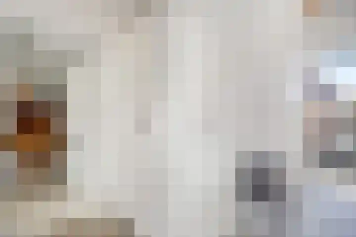Berkelkade 7 o Zutphen thumbnail 27