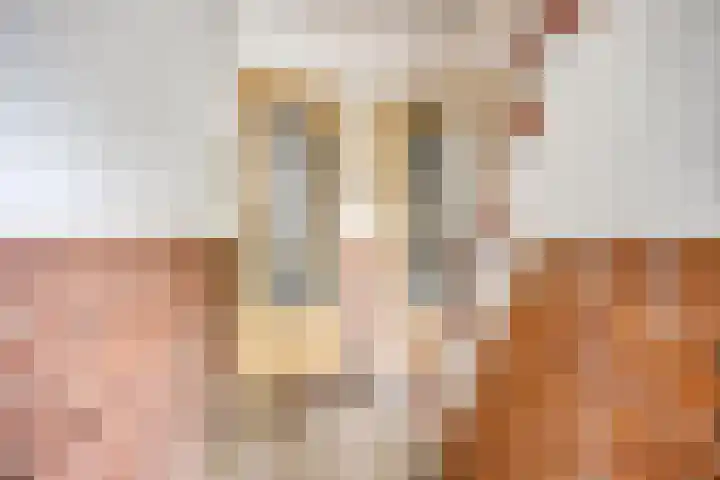 Berkelkade 7 o Zutphen thumbnail 30