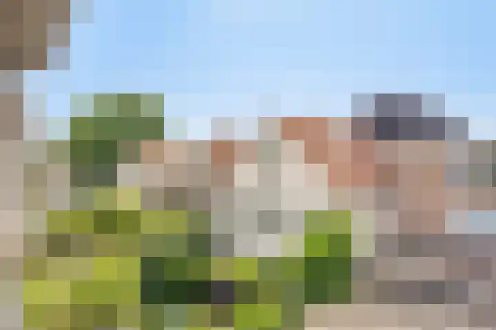 Berkelkade 7 o Zutphen thumbnail 33