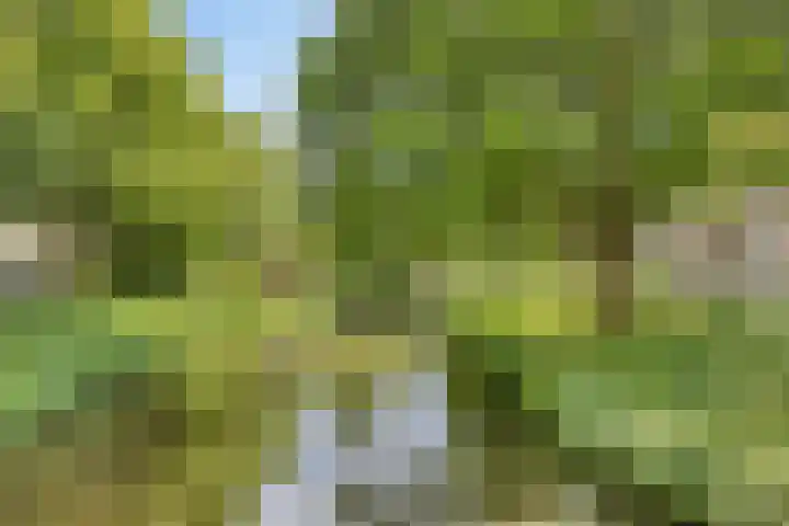 Berkelkade 7 o Zutphen thumbnail 34