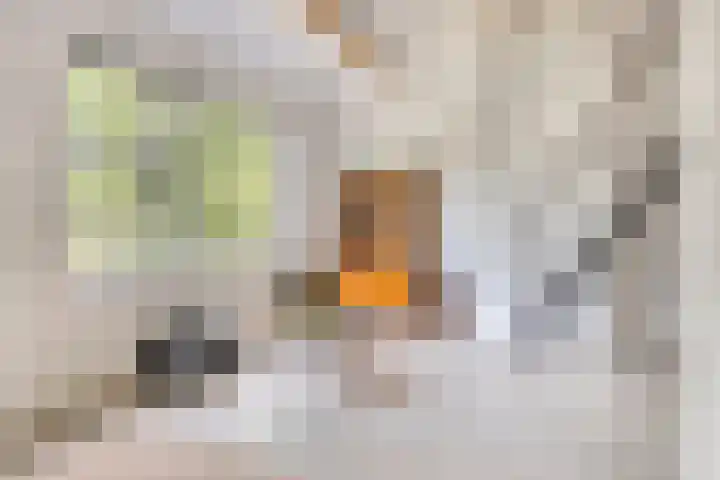 Berkelkade 7 o Zutphen thumbnail 8