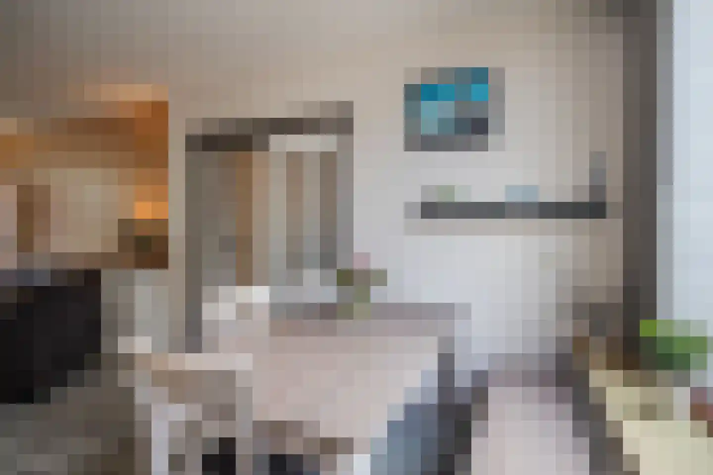 Berkellaan 14 Hengelo thumbnail 14