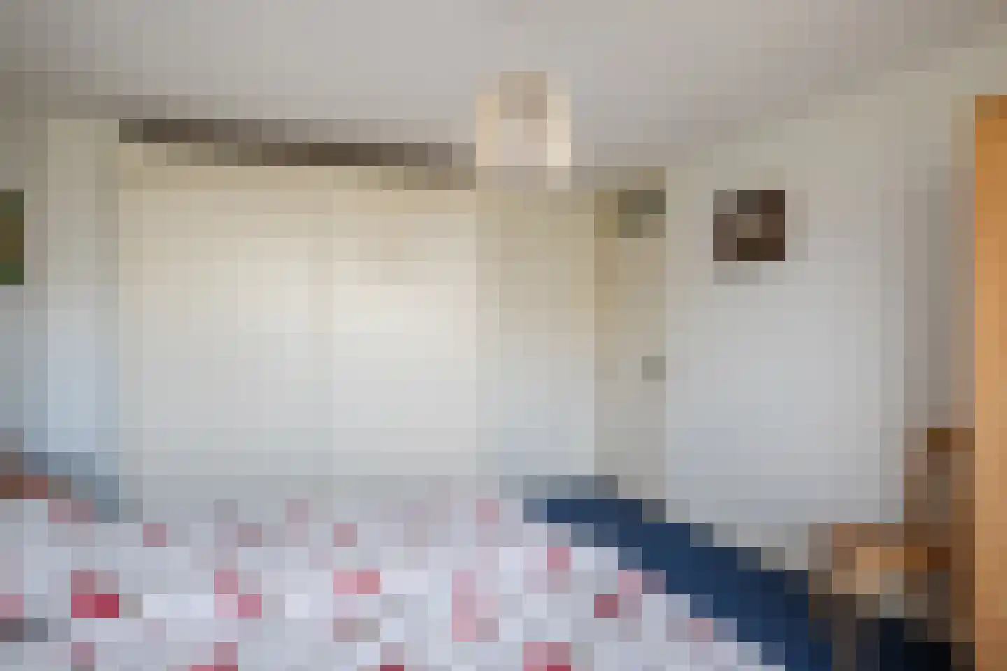 Berkellaan 14 Hengelo thumbnail 23