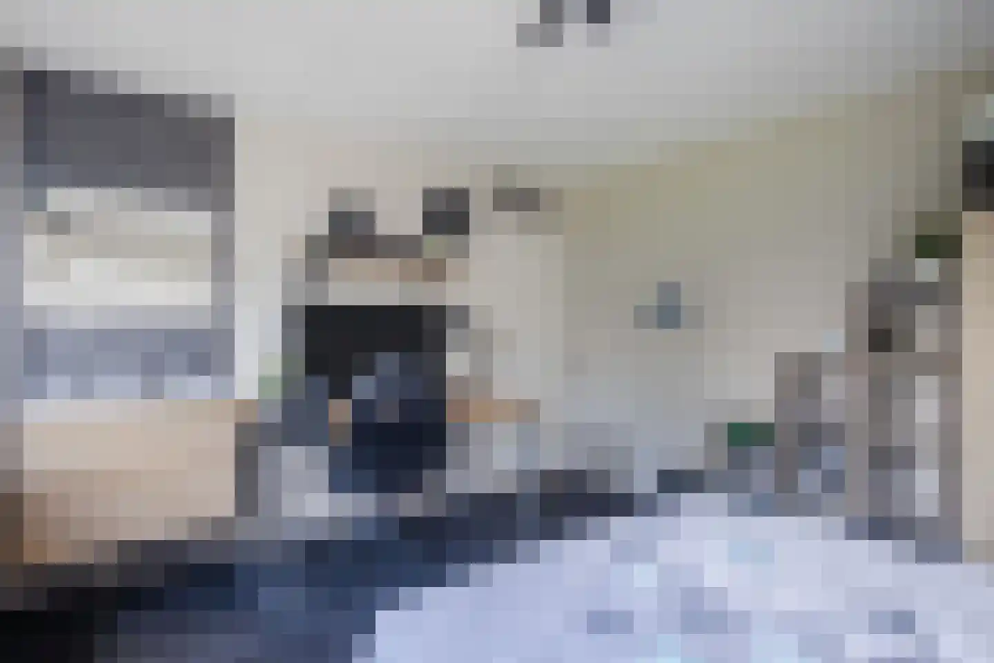 Berkellaan 14 Hengelo thumbnail 26